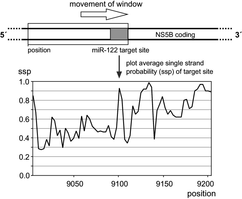 Fig. 6