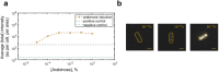 Figure 1—figure supplement 2.