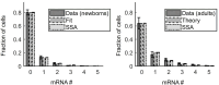 Figure 1—figure supplement 3.