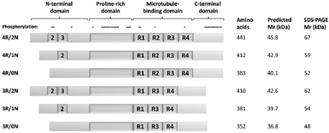 Fig.2