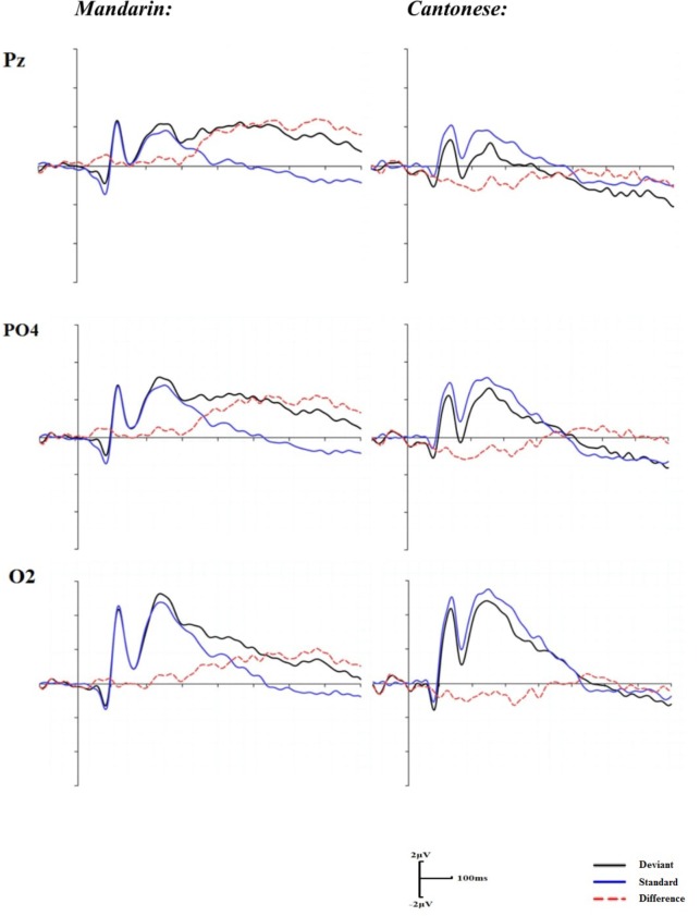 FIGURE 3