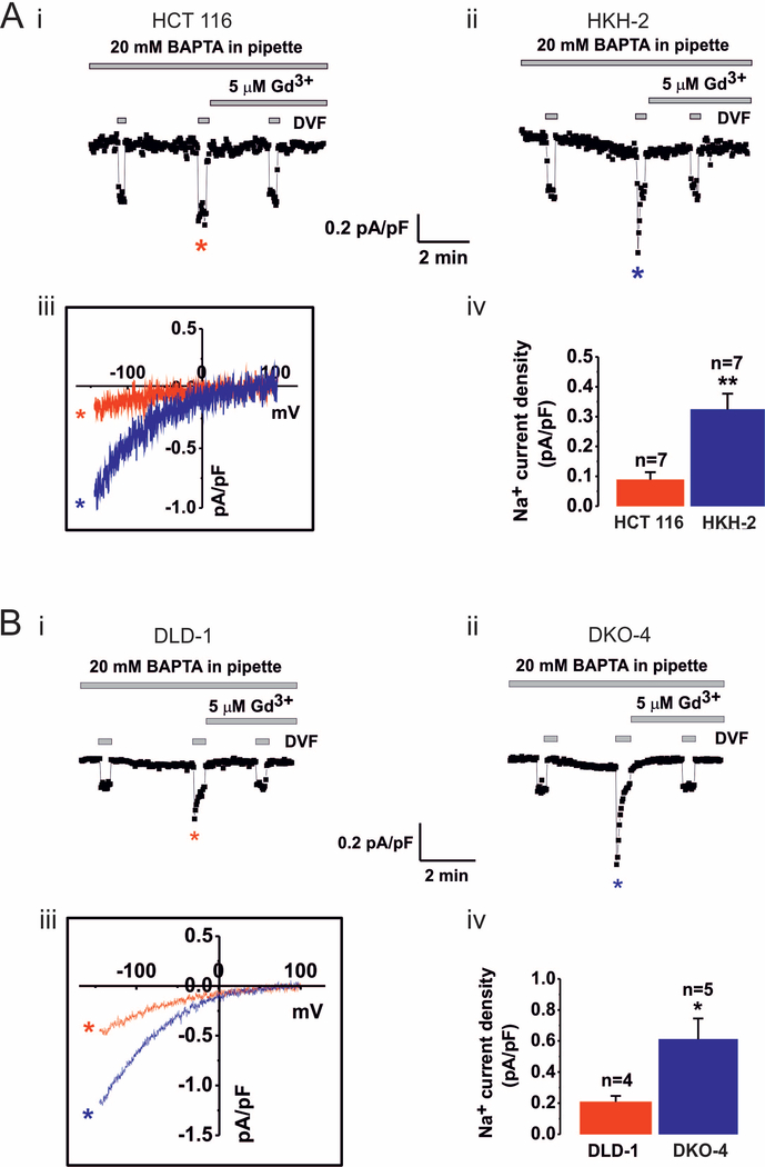 Fig.2.