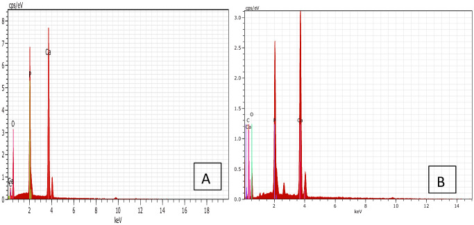 Fig 22