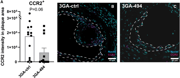 Figure 3