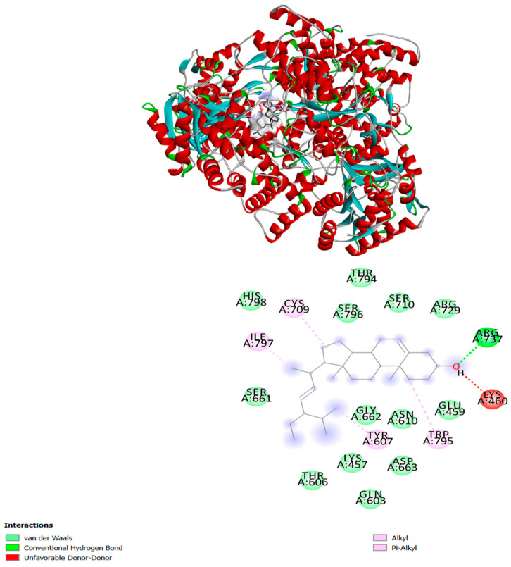 Figure 4