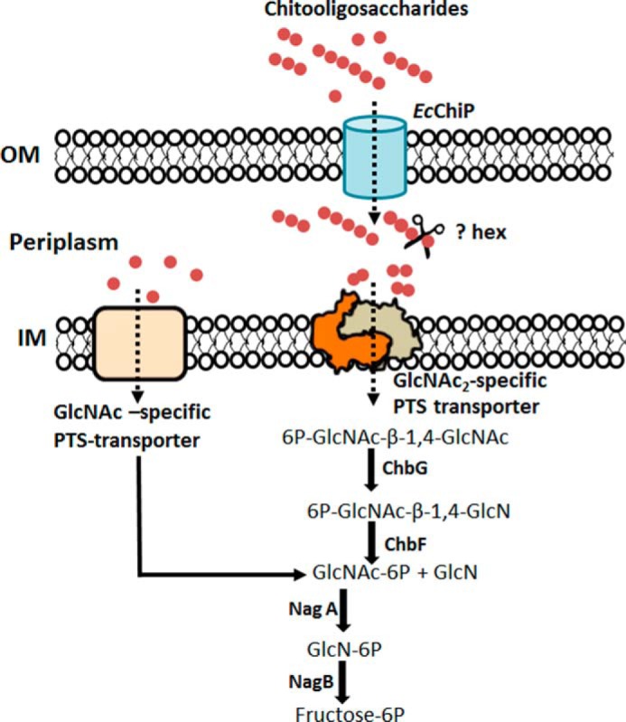 FIGURE 9.