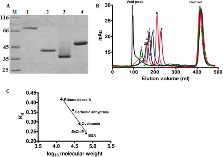 FIGURE 4.