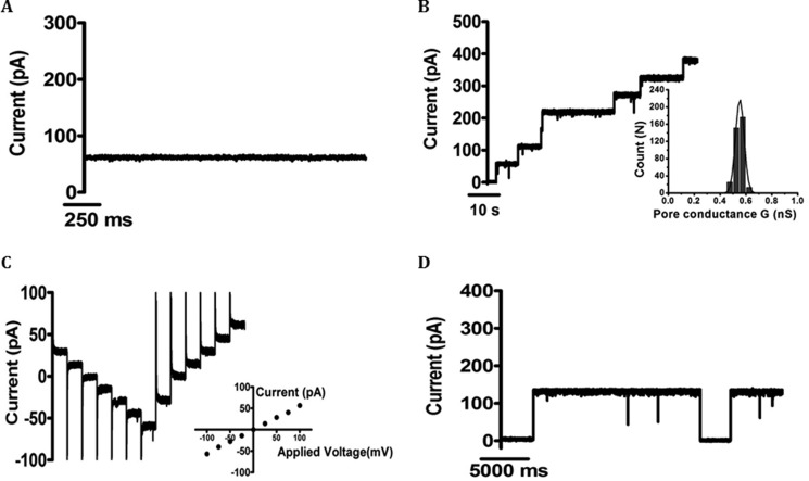 FIGURE 5.