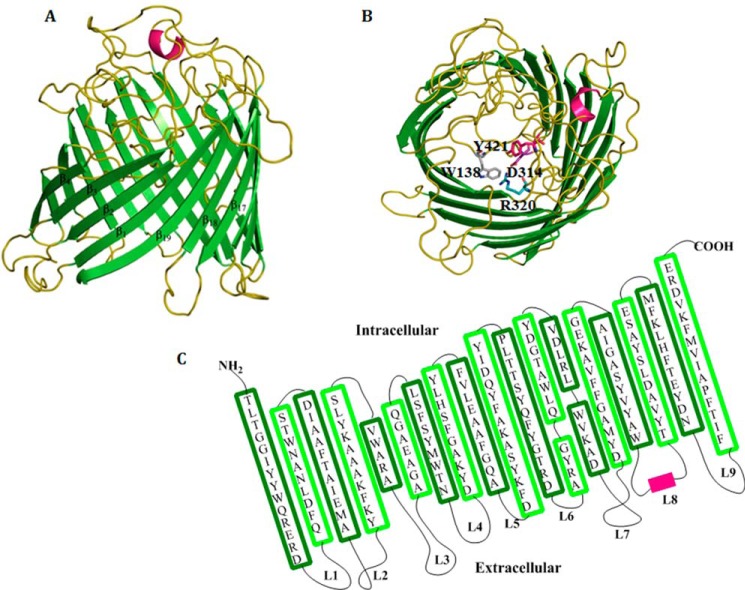 FIGURE 2.