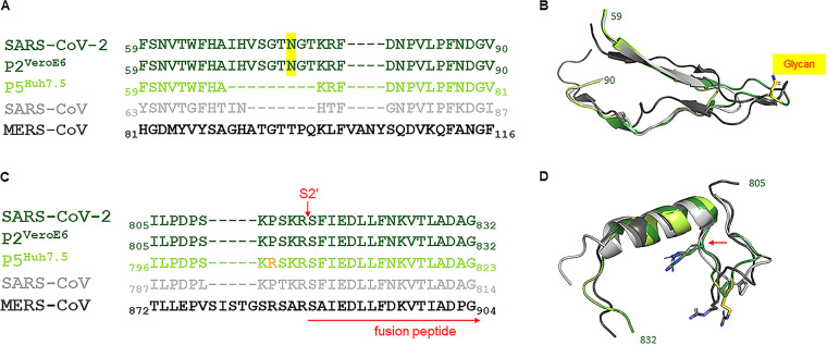 FIG 6