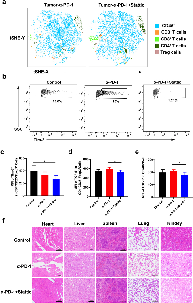 IL-10, TGF-β and Tim-3 expression which reflecting the function of Tregs were decreased when treated with STAT3 inhibitor and PD-1 mAb therapy. No organ toxicity was found through the bottom figure.