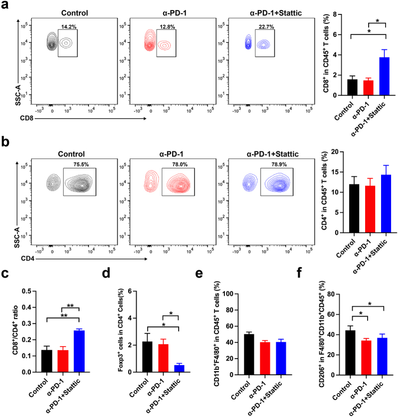 The number of Treg cells and M2 macrophages were decreased when treated with Sttatic with anti-PD-1 treatment, while the number of CD8+ T cells increased. The decreased frequency of Treg cells after combination was associated with increased proliferation of CD8+ T cells and CD4+ T cells and higher ratios of CD8+ T cells to CD4+ T cells.