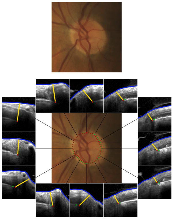 Fig. 7