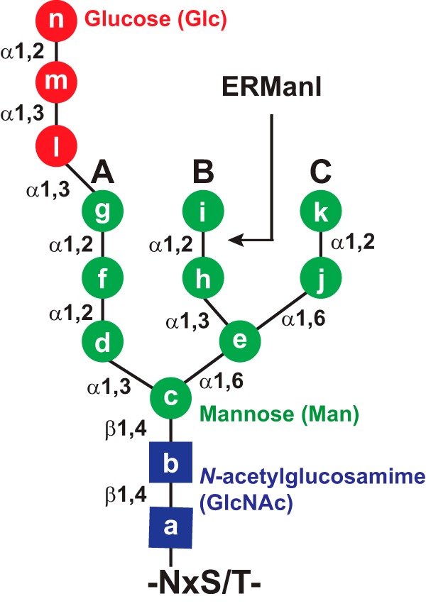 FIGURE 1.