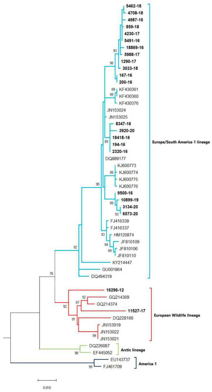 Figure 1