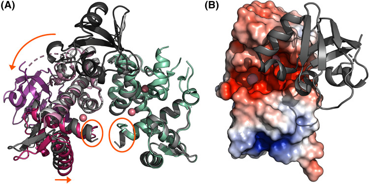 Figure 2.