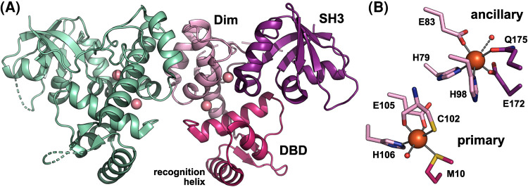 Figure 1.