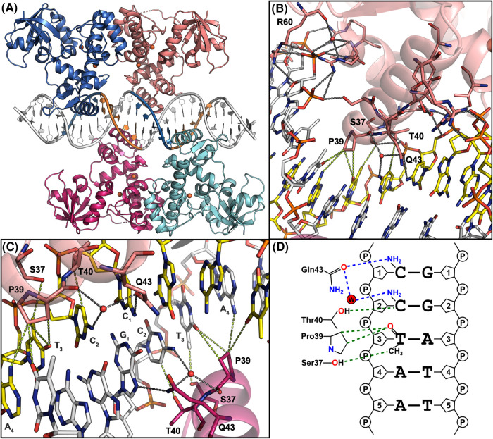 Figure 4.