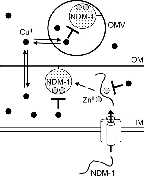 FIG 6