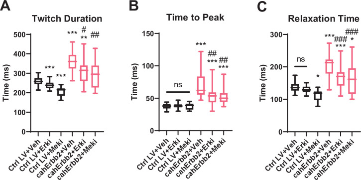 Figure 5—figure supplement 2.