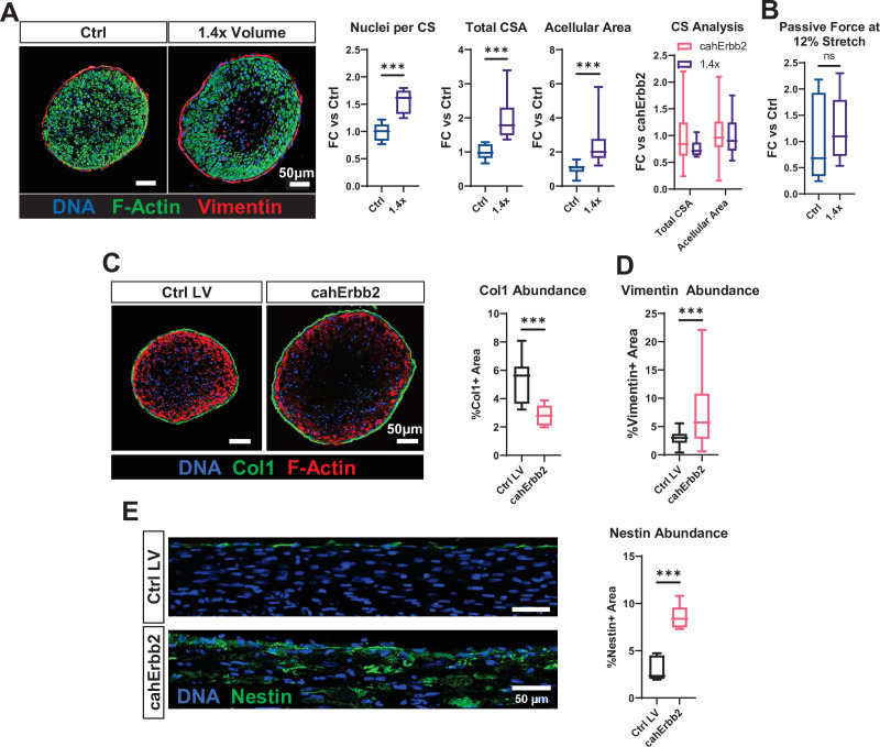 Figure 3—figure supplement 3.