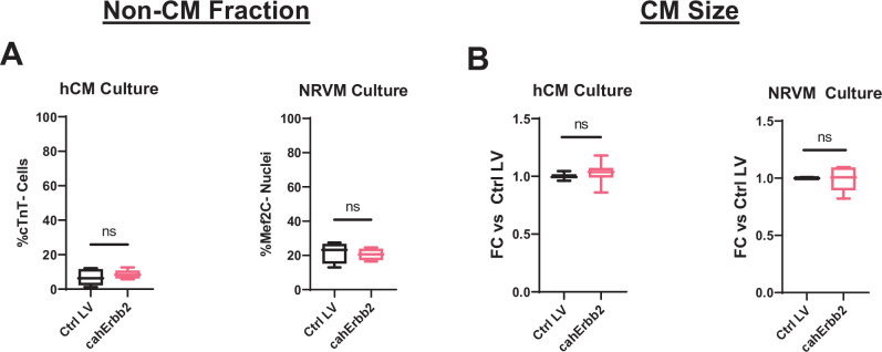 Figure 2—figure supplement 1.