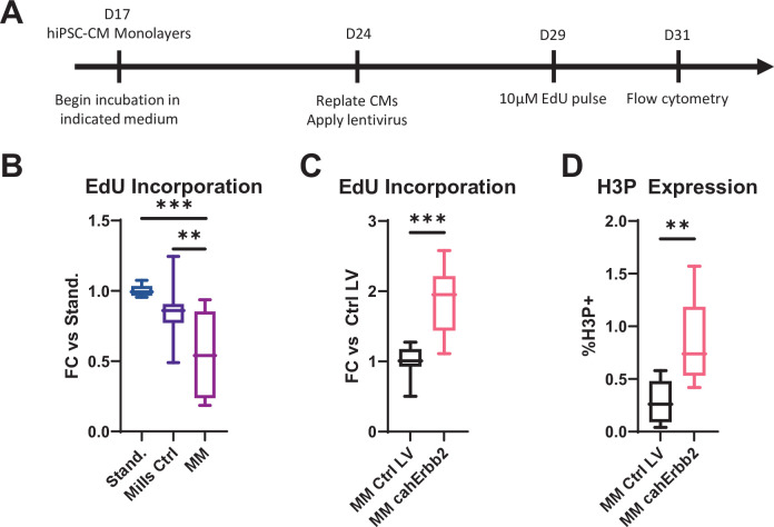 Figure 1—figure supplement 3.