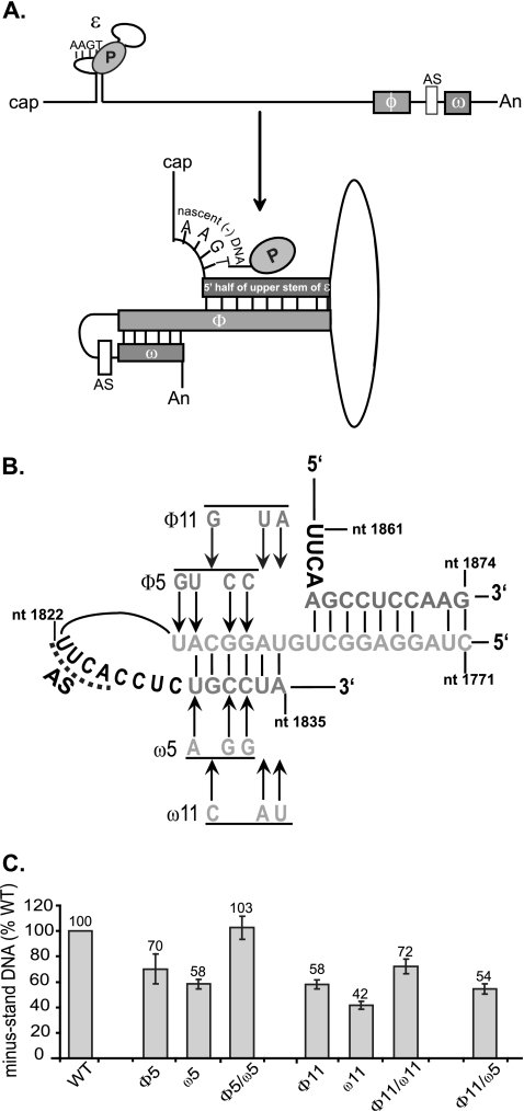 FIG. 6.