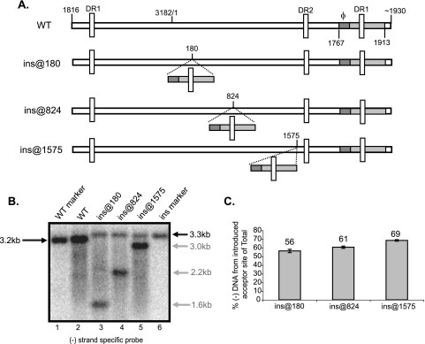 FIG. 4.