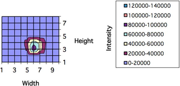 Fig. 2