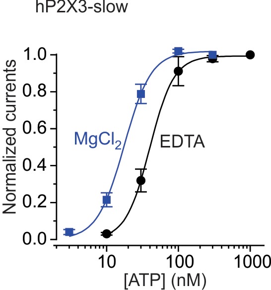 Figure 3—figure supplement 2.