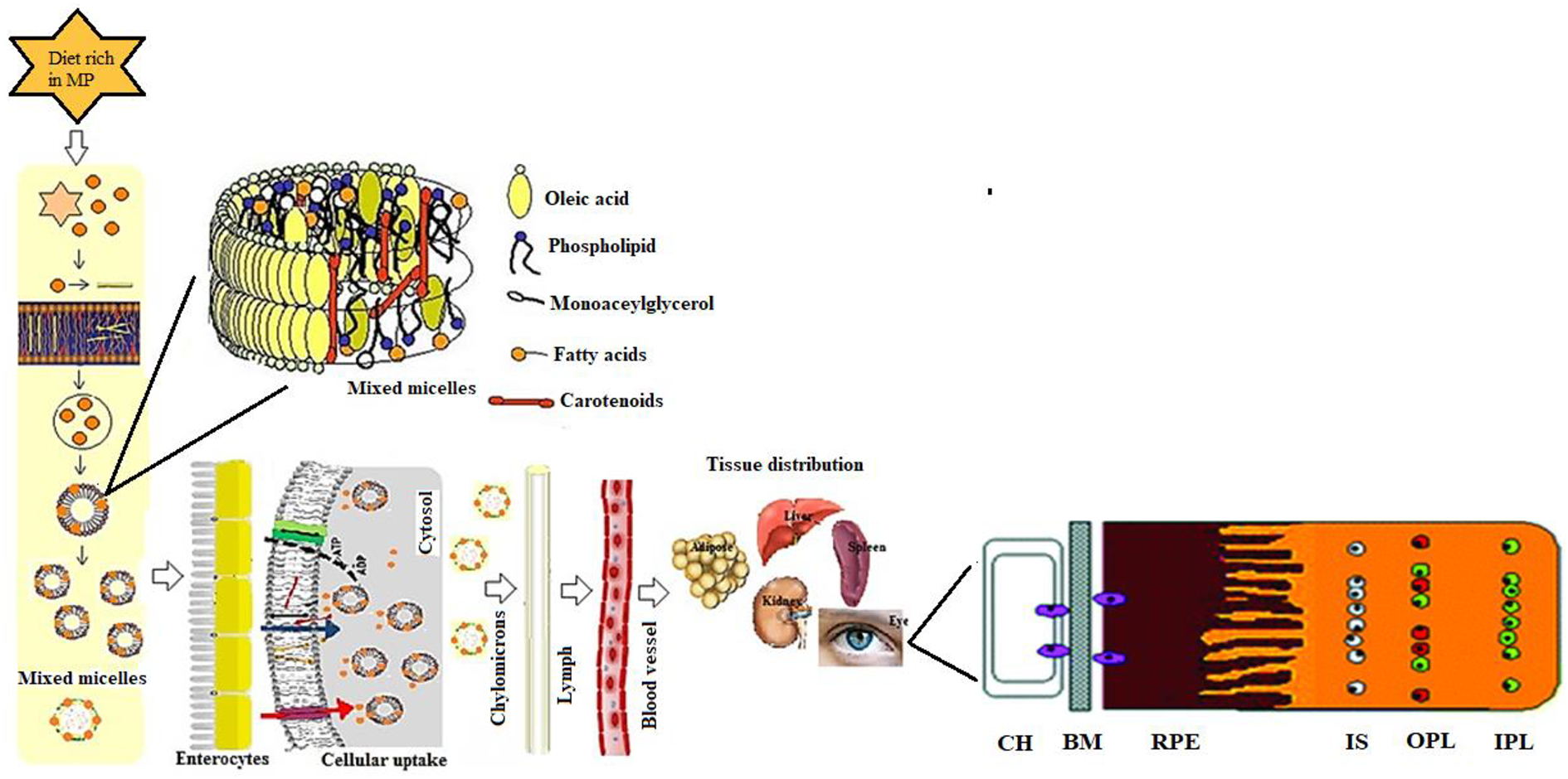 Figure 6.