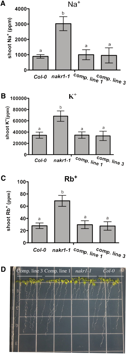 Figure 2.