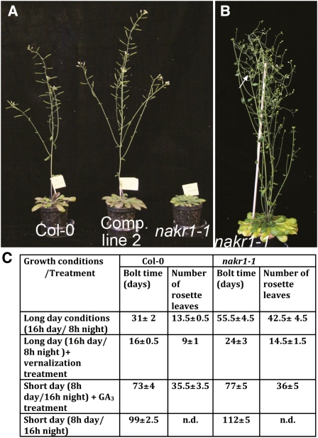 Figure 12.