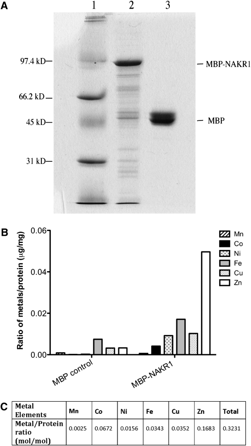 Figure 4.