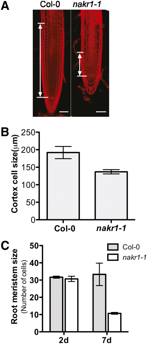 Figure 10.