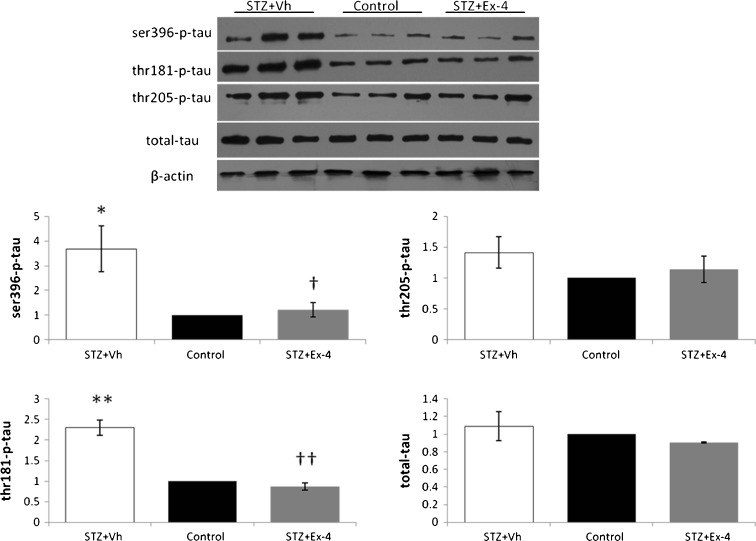 Fig. 7