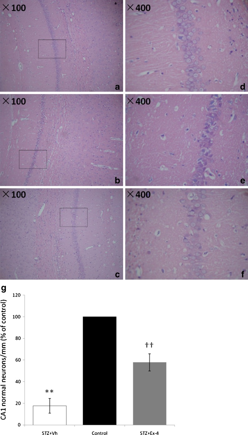 Fig. 6