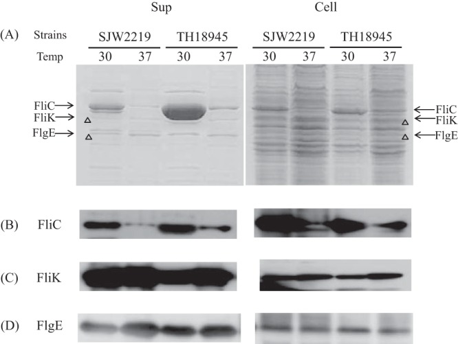 FIG 3