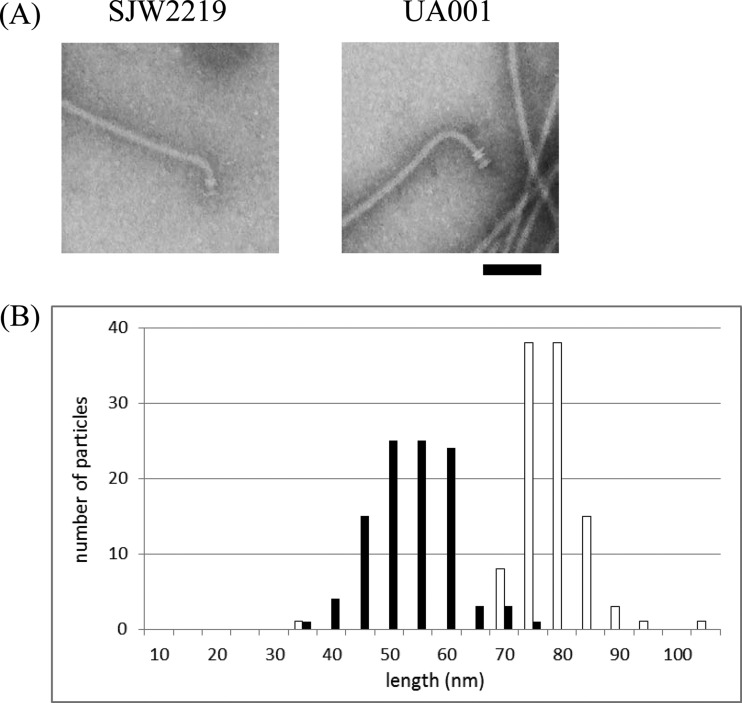 FIG 1