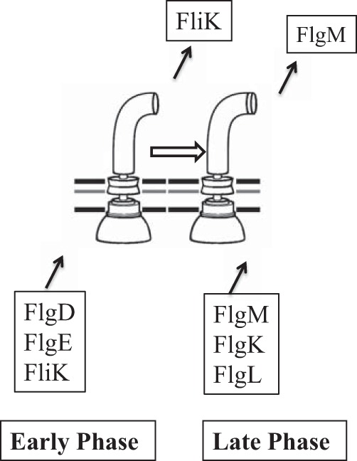 FIG 8