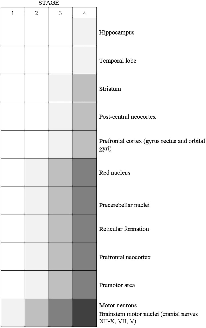 FIGURE 3