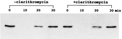 FIG. 5