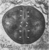 200
