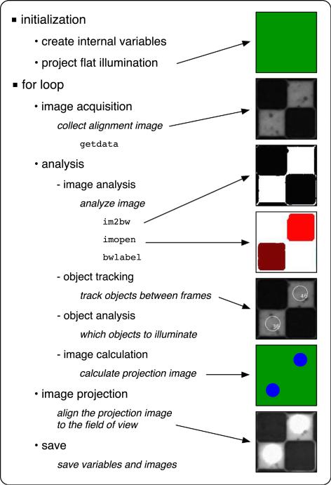 Fig. 7