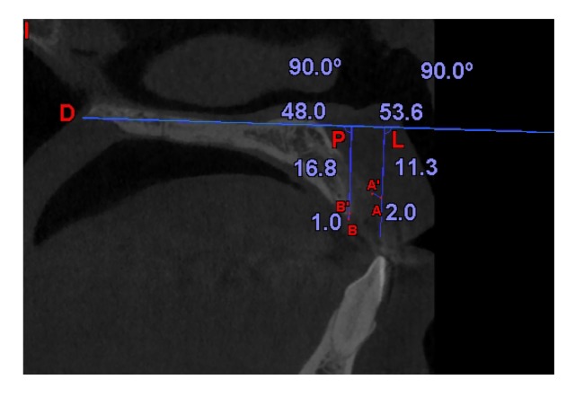 Fig. 8