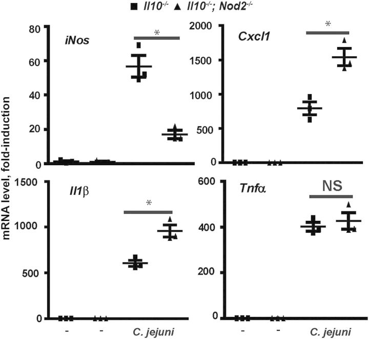 Figure 5.