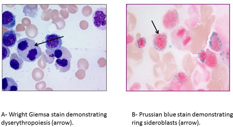 Figure 1-