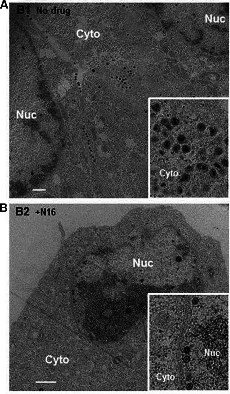 FIG 2