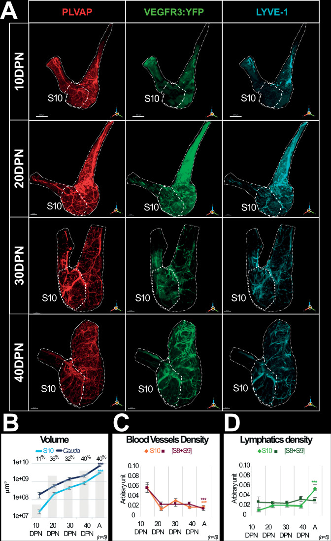 Figure 4—figure supplement 1.